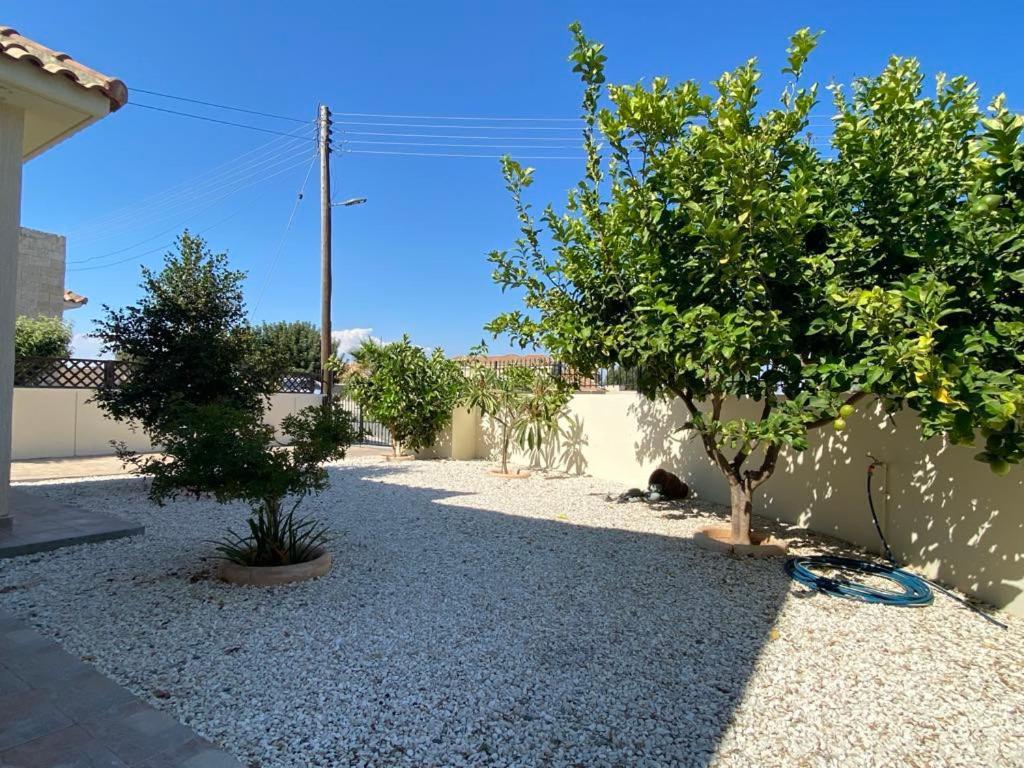Villa Trachonas Pissouri Exteriér fotografie